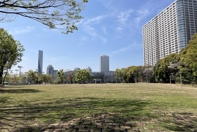 有明テニスの森公園の芝生広場