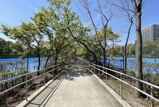 有明テニスの森公園の砂入り人工芝コート