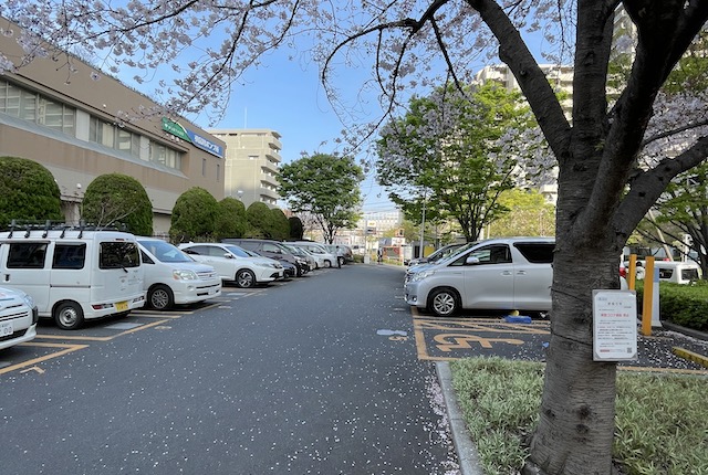 東品川海上公園の駐車場