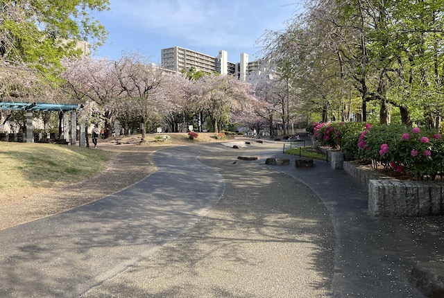 東品川海上公園の水路