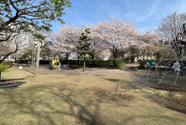 東品川海上公園のミッフィー広場