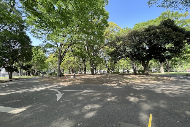 駒沢オリンピック公園のチリリンコース