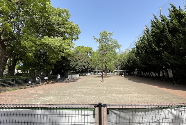 駒沢公園のドッグラン