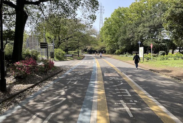 駒沢オリンピック公園のサイクリングコース