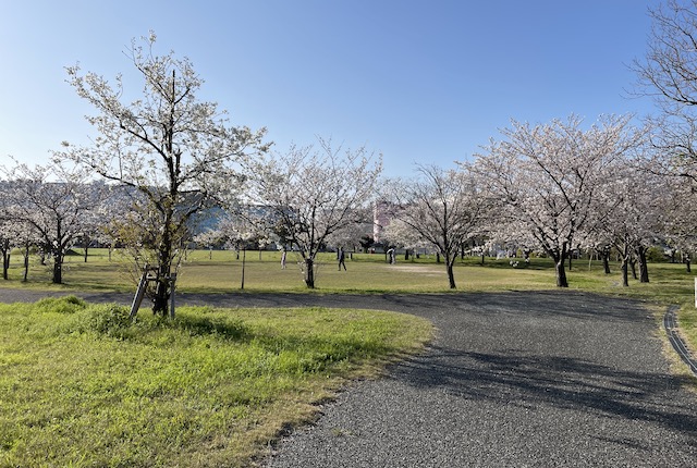 みなと100年公園の円形広場