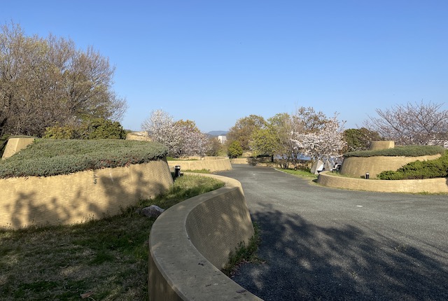 みなと100年公園のピクニック広場