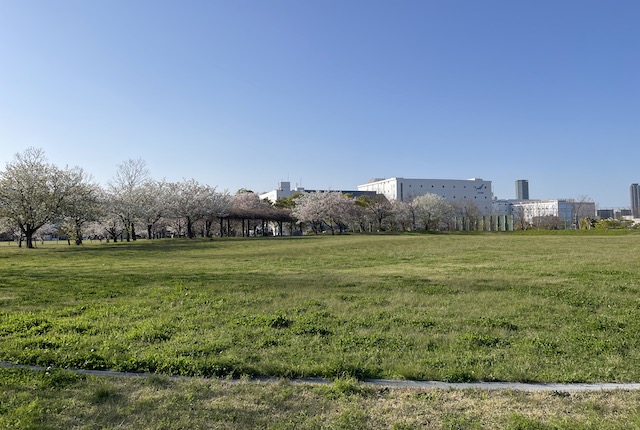 みなと100年公園の多目的広場