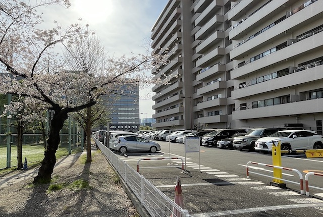 天王洲公園の駐車場