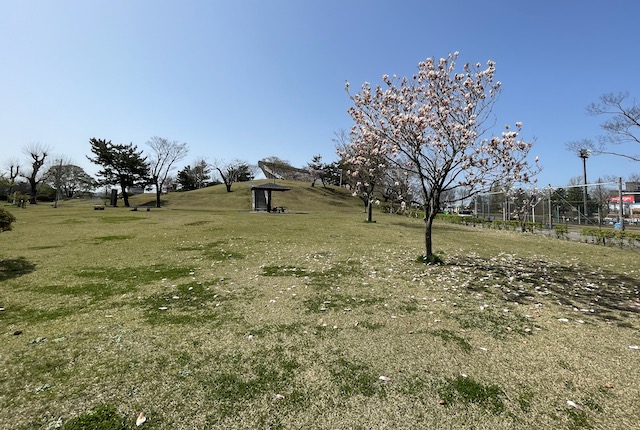 八橋運動公園の芝生広場