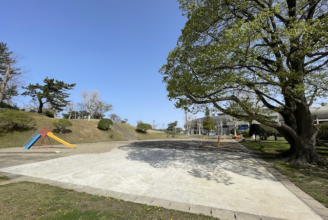 八橋運動公園の遊具