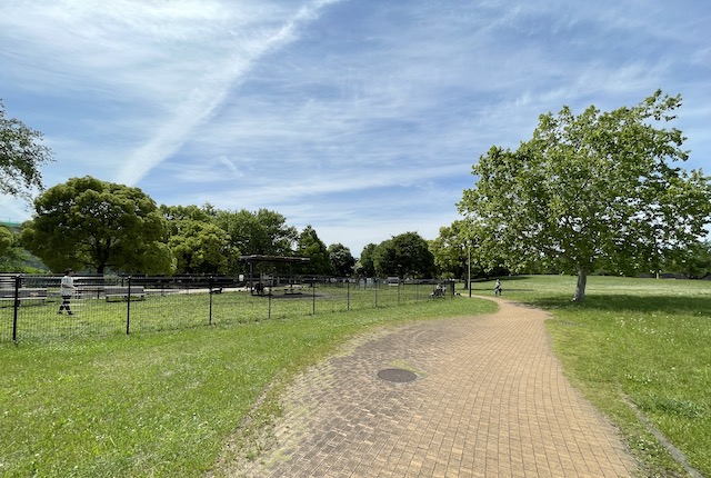 大井ふ頭中央海浜公園ドッグラン