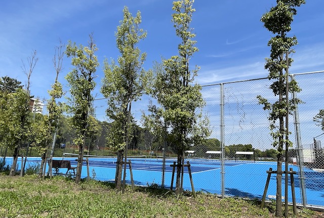 大井ふ頭中央海浜公園テニスコートB