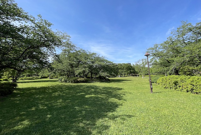 猿江恩賜公園の芝生広場