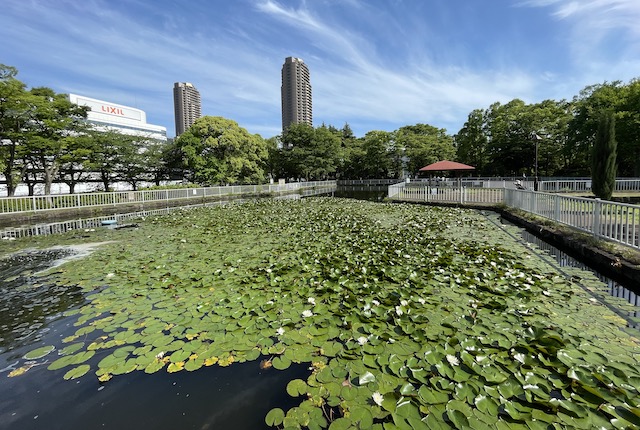 猿江恩賜公園のミニ木蔵