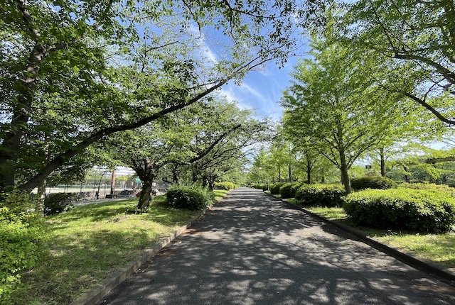 猿江恩賜公園の緑