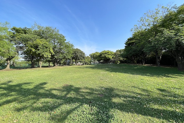 辰巳の森海浜公園のバーベキュー広場