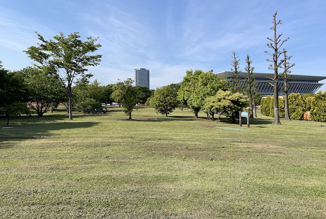 辰巳の森海浜公園のディスクゴルフ場