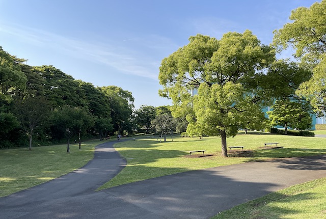 辰巳の森海浜公園のマレットゴルフ広場