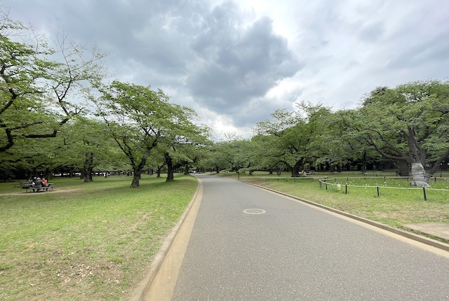 代々木公園の桜の園