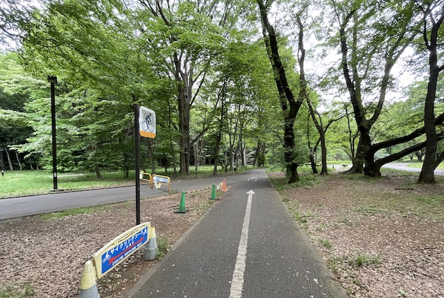 代々木公園のサイクリングコース