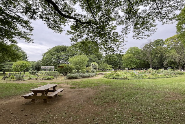 代々木公園のフラワーランド