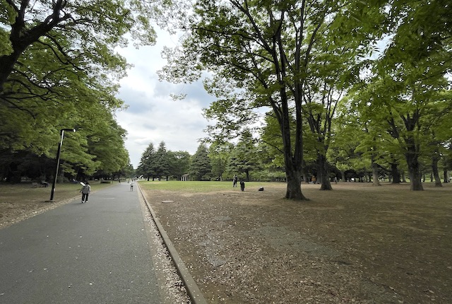 代々木公園のパノラマ広場