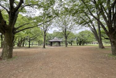 代々木公園（東京都渋谷区）