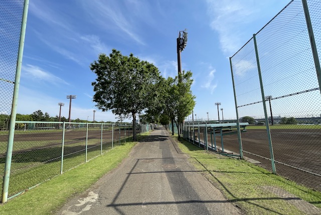 夢の島野球場