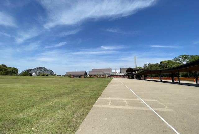 夢の島公園アーチェリー場