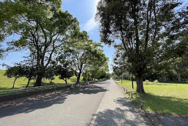 夢の島公園の散歩道