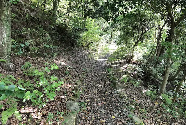 花海好の遊歩道