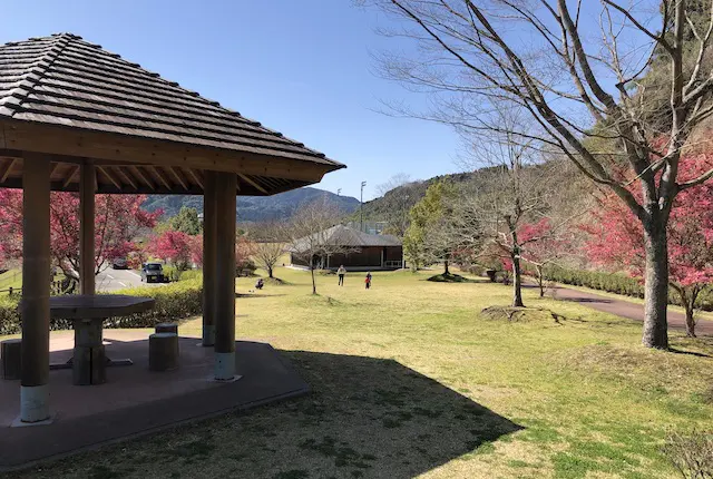 球磨村総合運動公園の芝生エリア