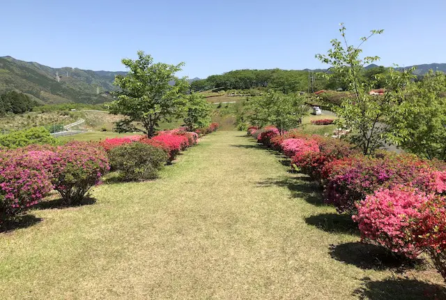 丸岡公園