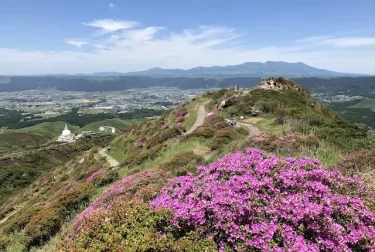 仙酔峡のミヤマキリシマ