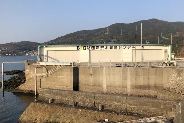 津奈木町総合運動公園の船艇