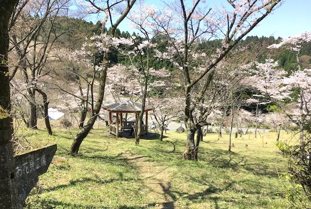 お花見広場と東屋