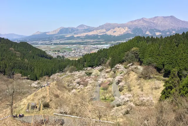 高森峠千本桜と阿蘇の風景