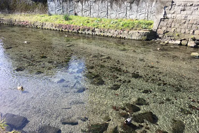 加勢川の水質