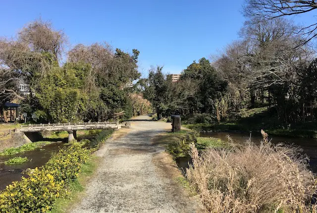 休憩園池