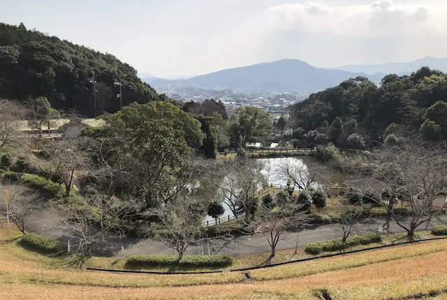 広瀬公園の池