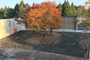 肥後古代の森 岩原古墳群（熊本県山鹿市）アートポリスと古墳公園