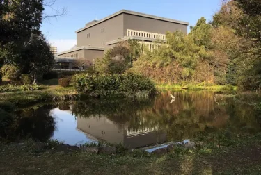 江津湖と県立図書館