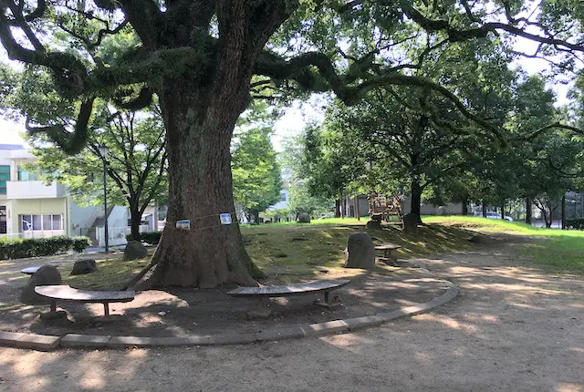 木陰とベンチ