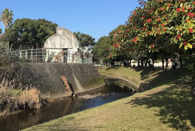 下江津湖から見えるキリン