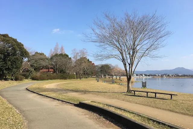 下江津湖のサイクリングロード