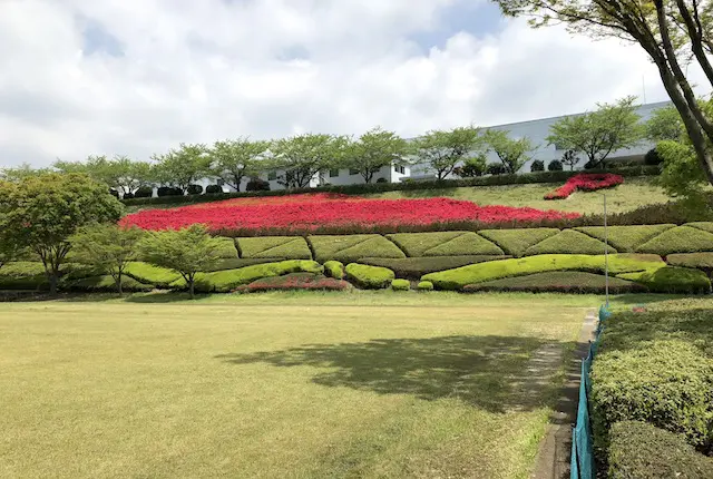 高尾野公園のツツジ