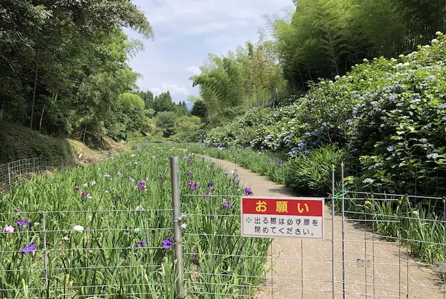 天子の水公園