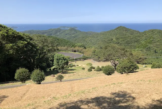 遠見山のスイセン公園