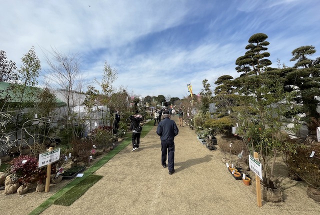 植木まつりの庭木販売エリア