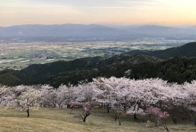 妙見野自然の森展望公園の眺め